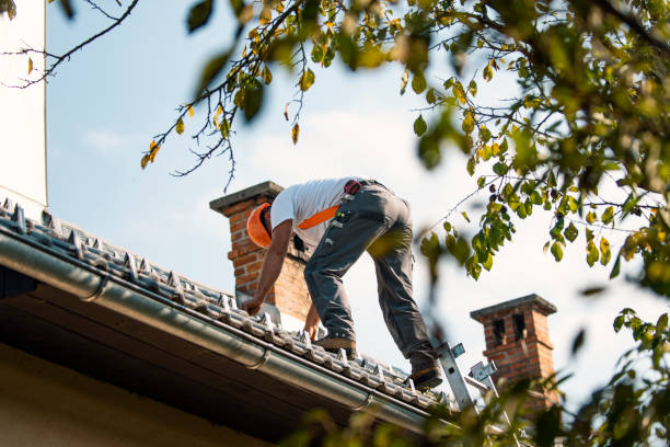 Best Flat Roofing  in Carson City, NV