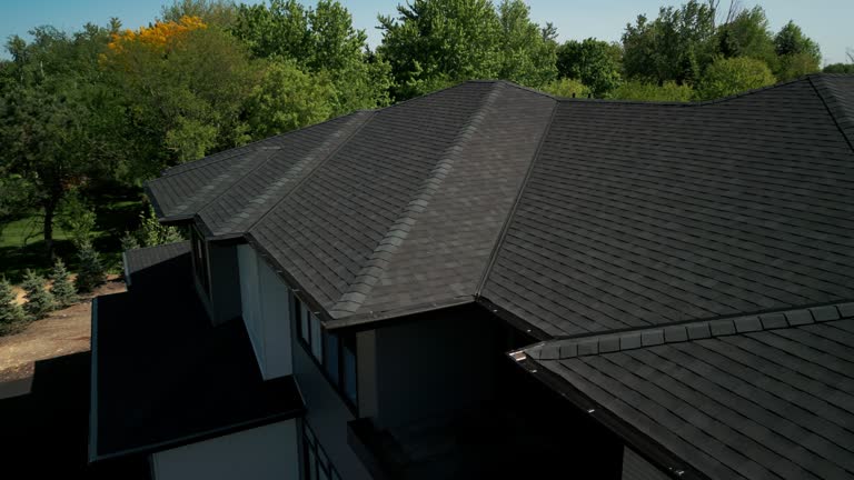 Best Skylight Installation and Repair  in Carson City, NV